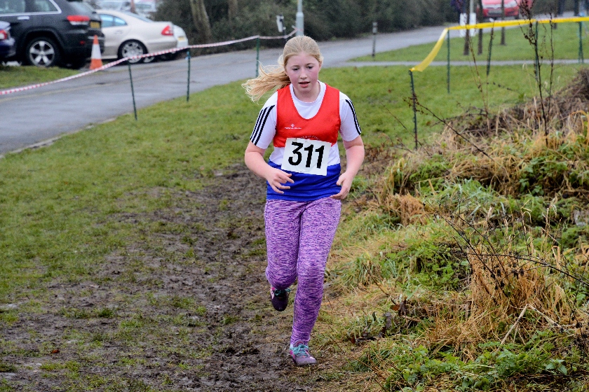 Staffordshire Cross Country Championships 7/1/2017