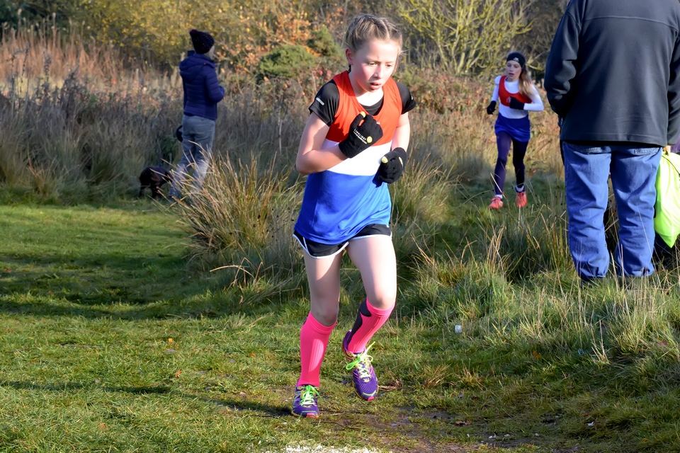 North Staffs Cross Country League Race 3 @ Park Hall – 17/11/2018